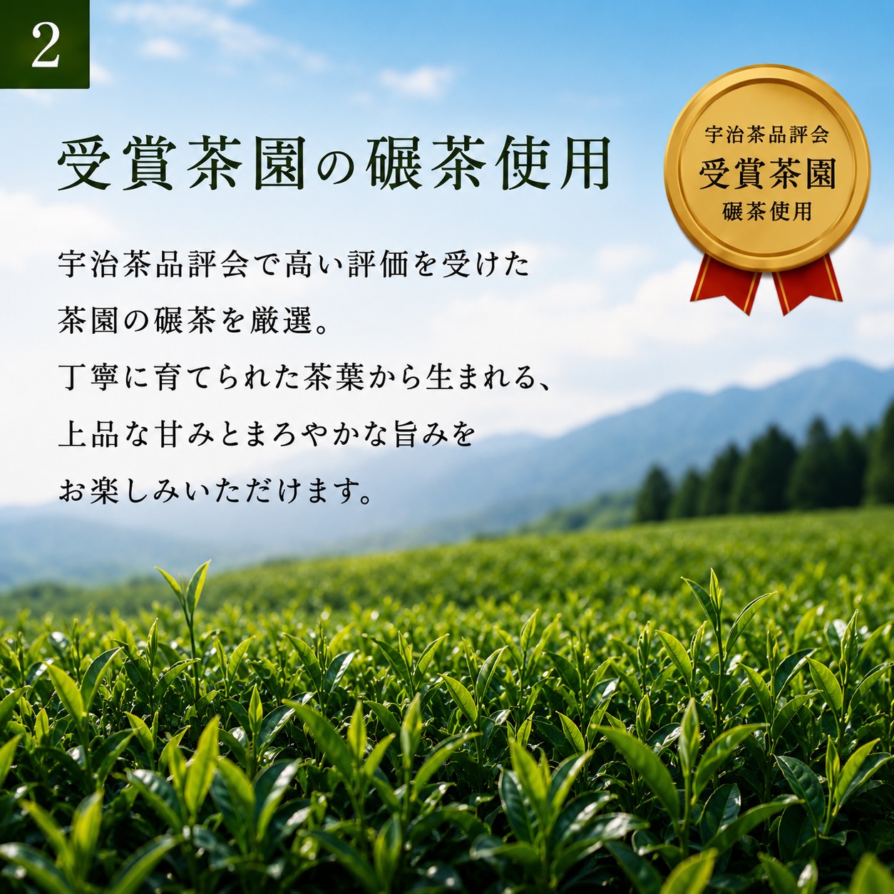拡大画像